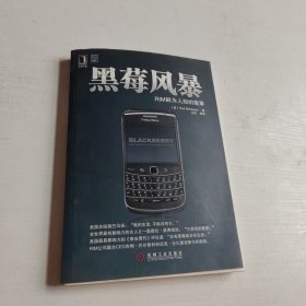 黑莓风暴