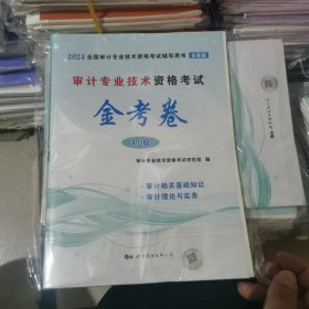 审计专业技术资格考试金考卷（初级2024全新版）