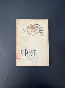 在巨浪中