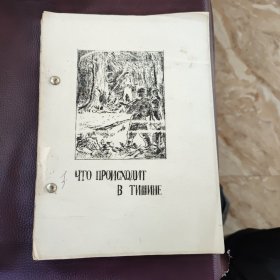 发生了什么？在森林中（俄文版）