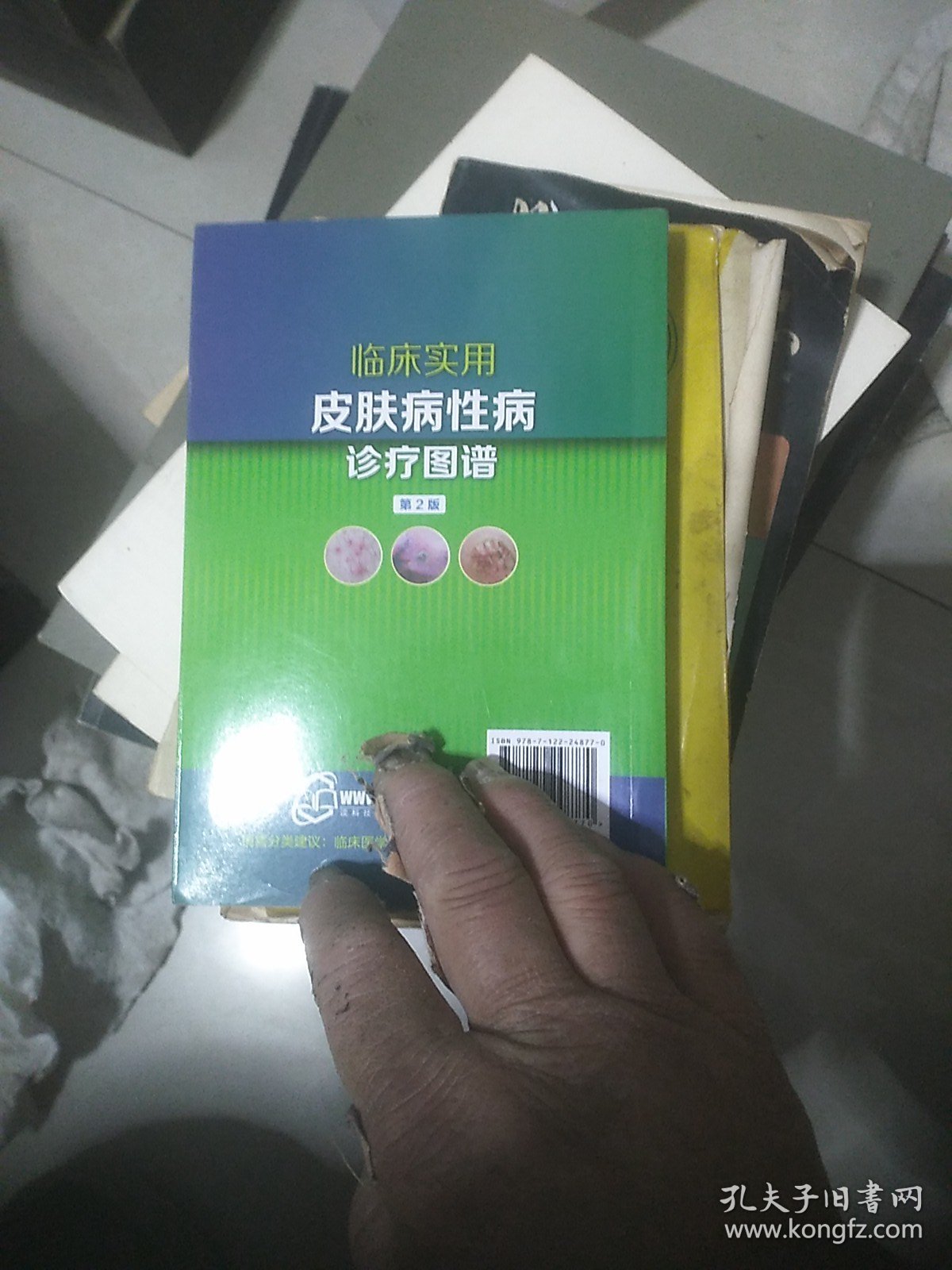临床实用皮肤病性病诊疗图谱（第2版）