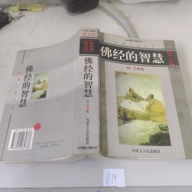 佛经的智慧 图文版