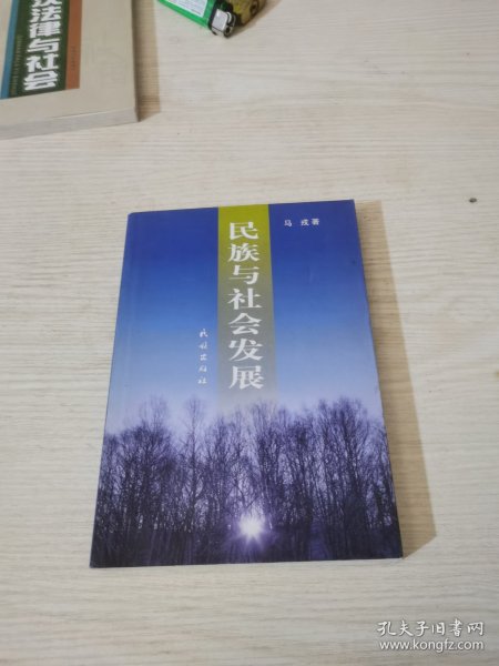 民族与社会发展