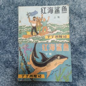 红海鲨鱼上下