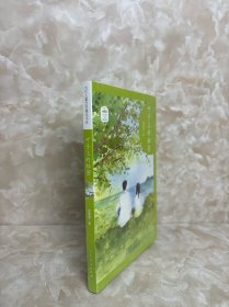 叶子上的秘密