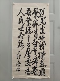 王儒林。11年10月出生于山东省莱芜市。55年9月被授予上校军衔。荣获中华人民共和国二级独立自由勋章、二级解放勋章。60年晋升为大校。88年7月被中央军委授予中国人民解放军独立功勋荣誉章。最高军职是中国人民解军解放军军事科学院战史部副军职研究员（副军级），根据军（副军）级、军种各部部长的资历，可授予少将军衔。因其在88年中国人民解放军第二次授衔前业已离休，已超过了授衔时效，故无授衔。因此谓无衔将军