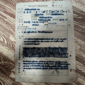 管制反革命分子呈请处理批示表
