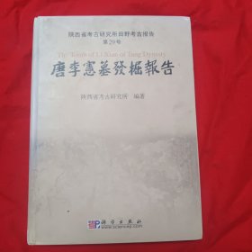 唐李宪墓发掘报告