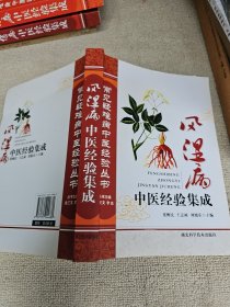 常见疑难病中医经验丛书：风湿病中医经验集成