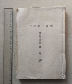 90年代广东湛江吴川廉江曲江区域的族谱文献：三柏李氏族谱/廉江曲江真一郎支谱一册全