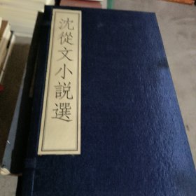 沈從文小说选
