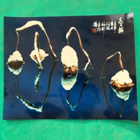 艺术摄影照片：冬趣