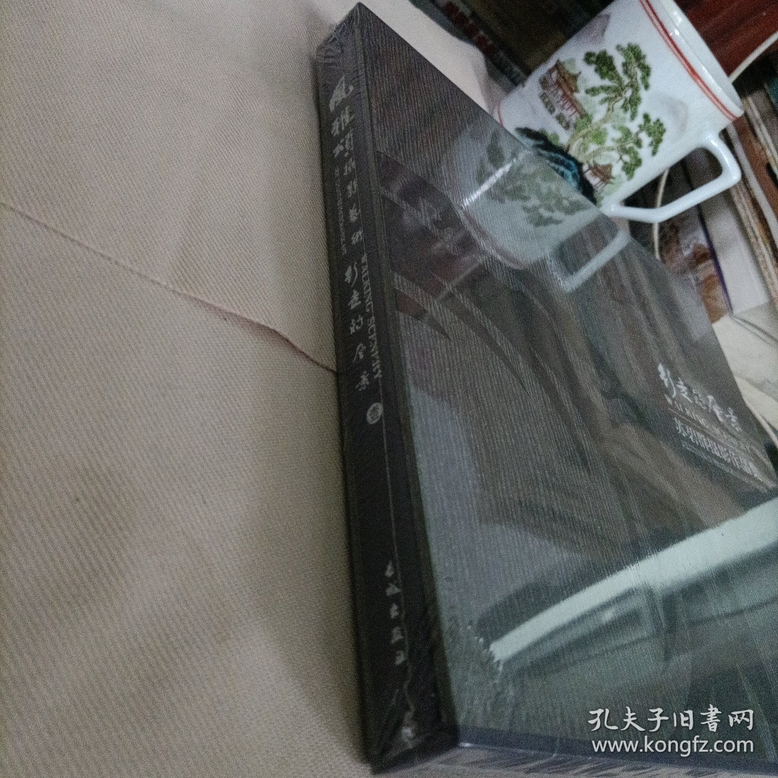 风雅颂摄影艺术:行走的风景 苏碧群摄影作品集【全新原装带盒】