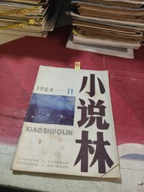 小说林1984年第11期