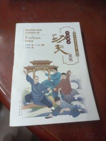 中国佛山功夫文化