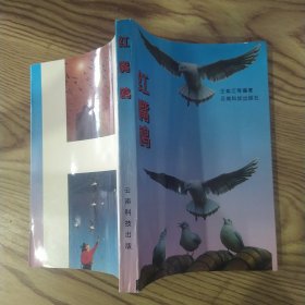 红嘴鸥（85品大32开1994年1版1印3000册215页18万字彩色插图16页）57399