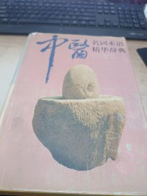 中医名词术语精华辞典