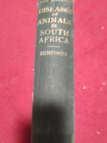 Diseases of Animals In South Africa【民国国立东南大学孟芳图书馆藏书。藏书票一枚】