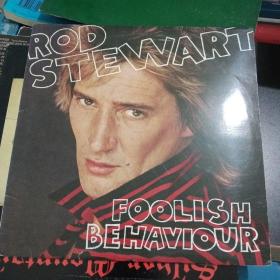 ROD STEWART  黑胶