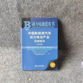 动力电池蓝皮书：中国新能源汽车动力电池产业发展报告（2020）