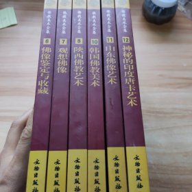 佛教美术全集6-12 佛像鉴定与收藏 观想佛像 陕西佛教艺术 韩国佛像艺术 山东佛像艺术 神秘的印度唐卡艺术 共6本