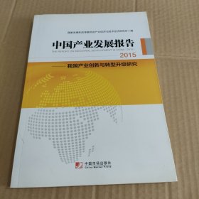 中国产业发展报告：2015（国家发改委产业经济与技术经济研究所发布，梳理2014+展望2015，产业创新+转型升级，内容全+数据实）