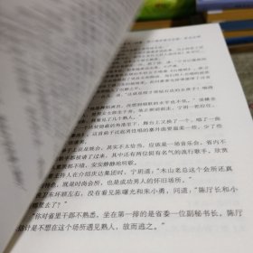 侯卫东官场笔记1-8：逐层讲透村、镇、县、市、省官场现状的自传体小说