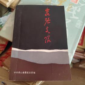 昆张支队资料专揖（梁山党史资料，抗日资料）品相好，非常少见