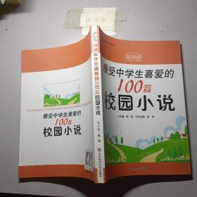 最受中学生喜爱的100篇校园小说