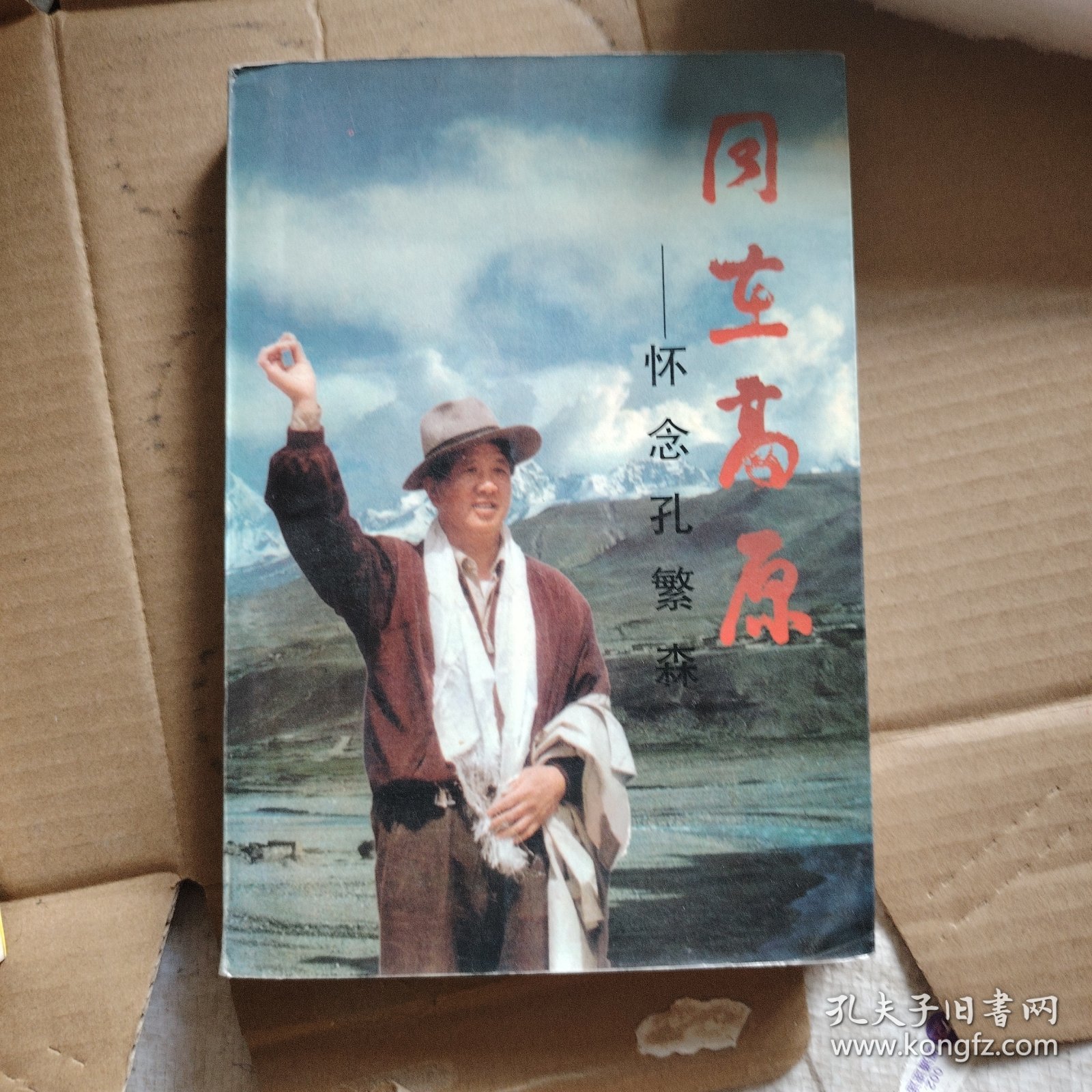 同在高原:怀念孔繁森！