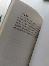 论语通译