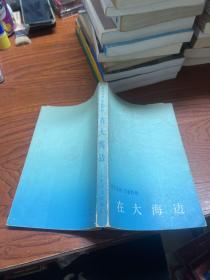 在大海边 译文丛刊