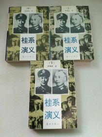 桂系演义 上中下