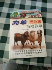 肉羊无公害高效养殖