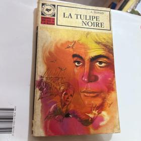 La Tulipe noire