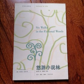 悠游小说林（文化生活译丛，2005年10月北京一版，2006年3月北京二印，自然旧未翻阅，具体品相见实物拍照图片）