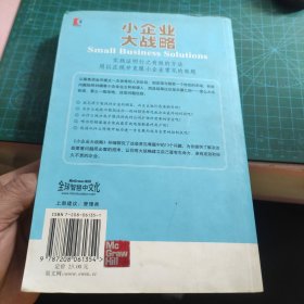 小企业大战略：破解中小企业经理人的13大难题