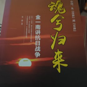 魂兮归来：金一南讲抗日战争