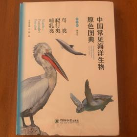 中国常见海洋生物原色图典——鸟类 爬行类 哺乳类