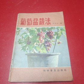 葡萄盆栽法