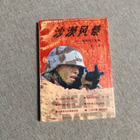 沙漠风暴海湾战火实录