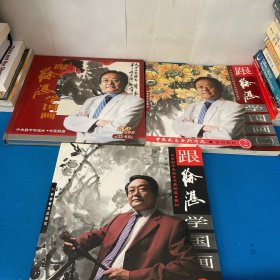 跟徐湛学国画 第33-64集 8张DVD、跟徐湛学国画 一 二