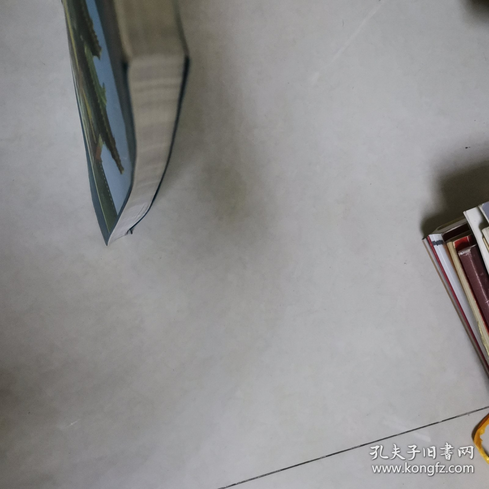 点击查看原图 全国书画书评大赛精品集