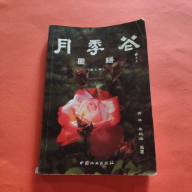 月季花图谱.第1集