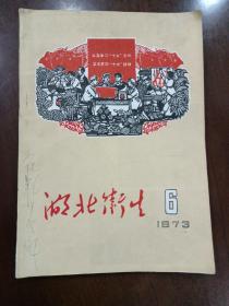 湖北卫生1973年第6期