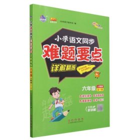 小学同步难题要点详解精练 语文人教版六年级