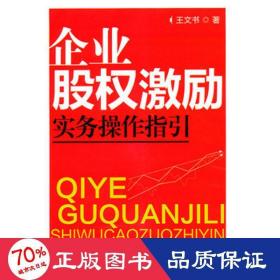 企业股权激励实务作指引 管理实务 王文书