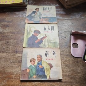 童年在人间我的大学