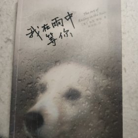 我在雨中等你