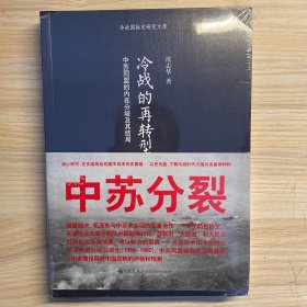 冷战的再转型：中苏同盟的内在分歧及其结局